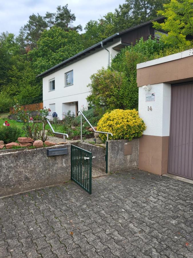 Apartment Betzenberg, Nur Netflix Kaiserslautern Zewnętrze zdjęcie