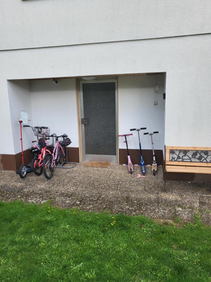 Apartment Betzenberg, Nur Netflix Kaiserslautern Zewnętrze zdjęcie